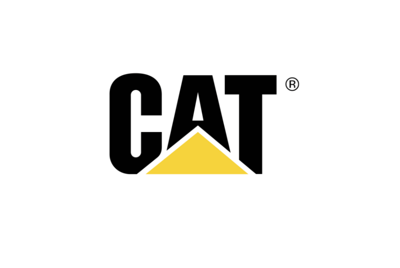 Cat Safety Shoes