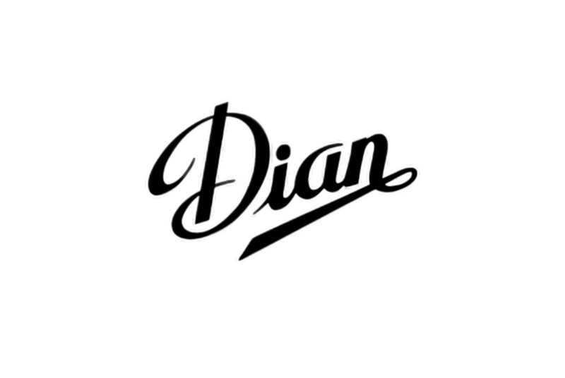 DIAN Care Shoes