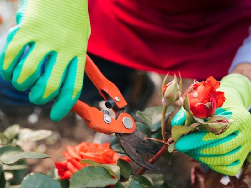 Gardening Gloves