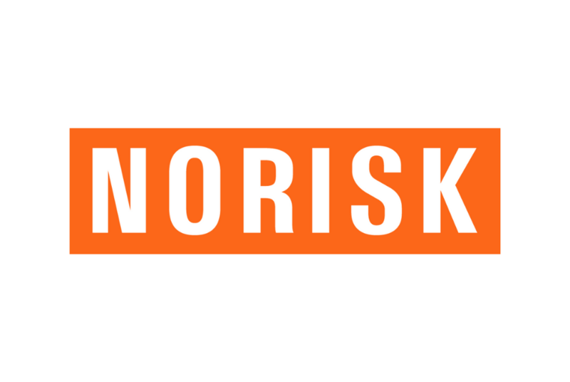 No Risk Safety Shoes