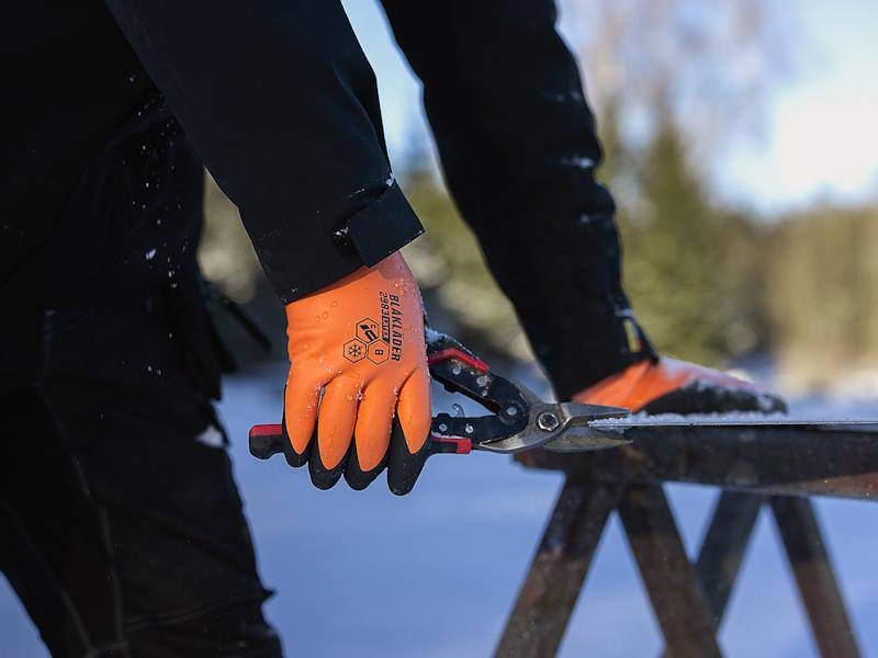 Winter Gloves