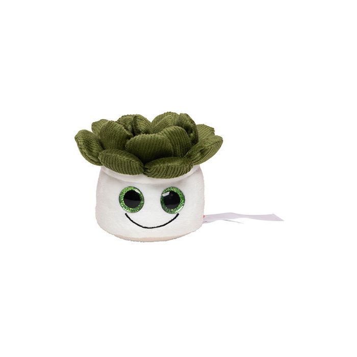 Mbw MBW160849 Schmoozies® Evergreenies® Succulent
