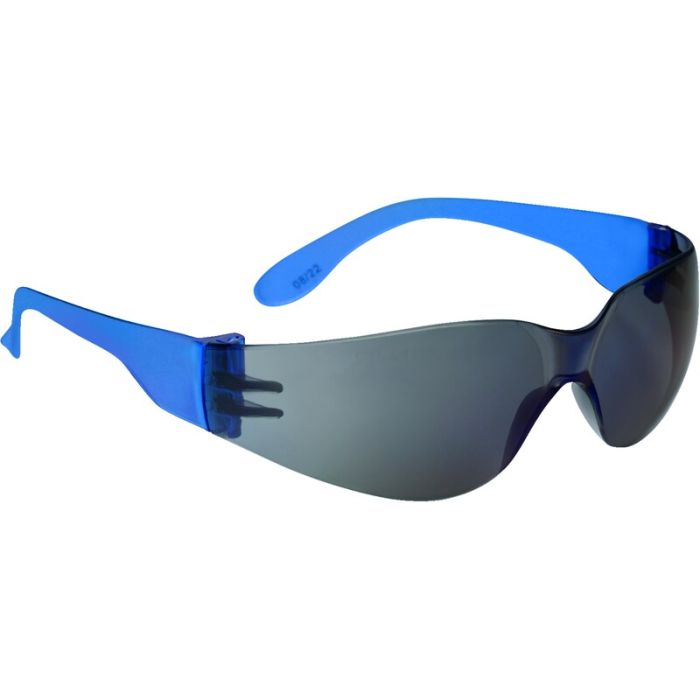 Delta Plus BRAVA2-C061 GLASSES BRAVA2 FLASH
